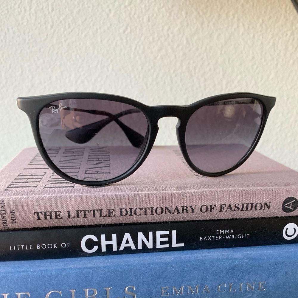 Ray Ban Erika Sunglasses